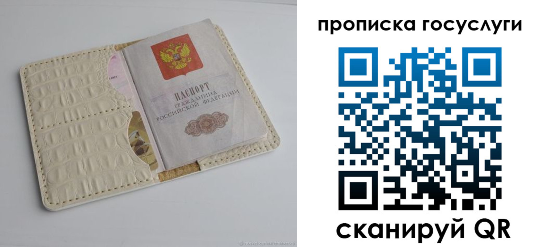 прописка законно в Мончегорске